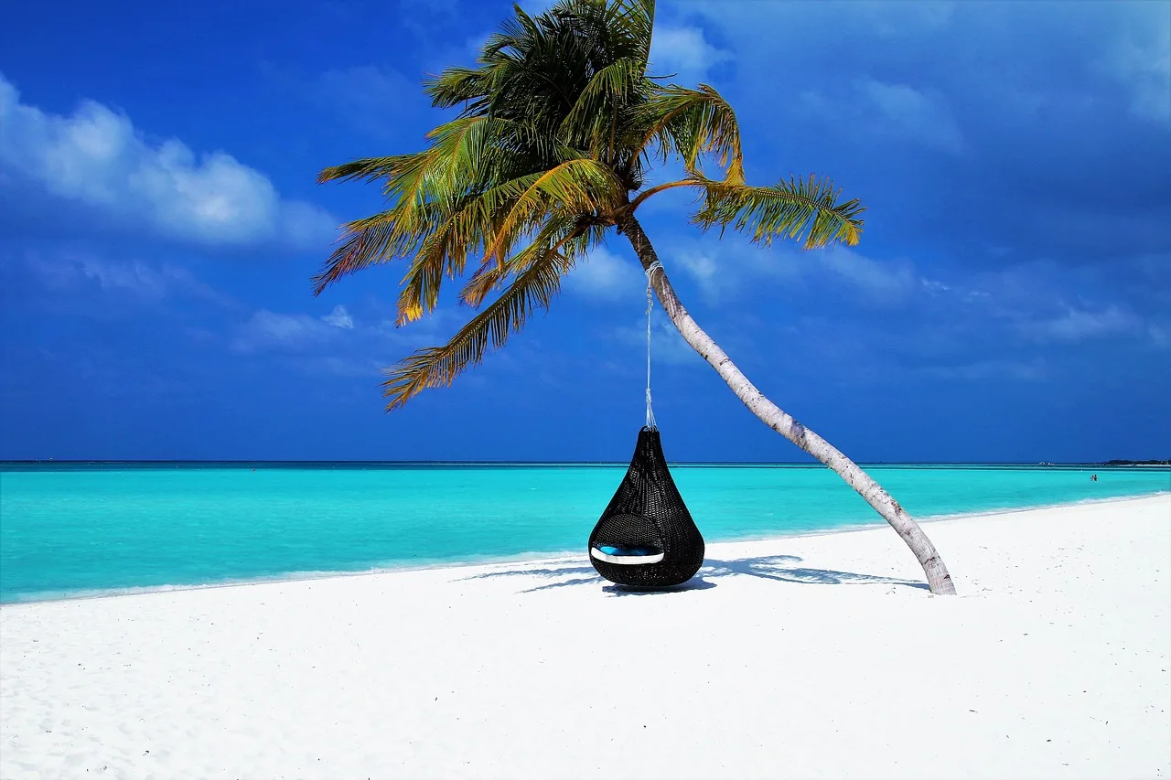 une plage de sable blanc avec des palmiers et des vagues