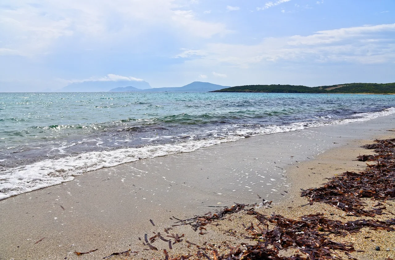 Votre été sur une plage de sable fin