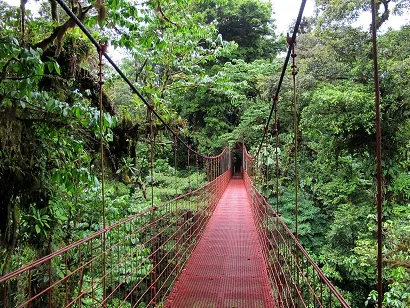 Séjour au Costa Rica : ce qu’il y a à voir à Monteverde