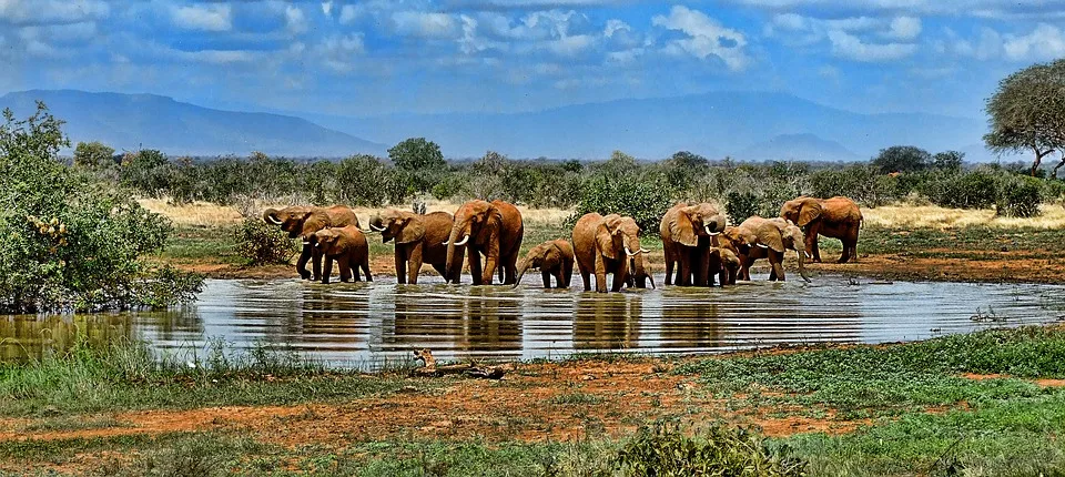 Séjourner en Afrique du Sud et passer des moments inoubliables
